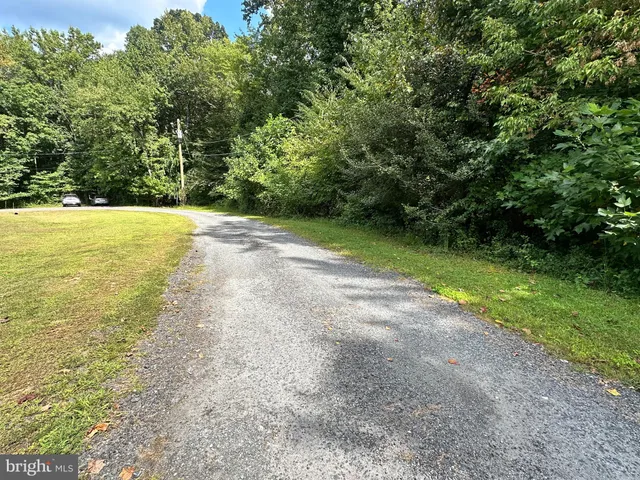 a view of a yard with a trees