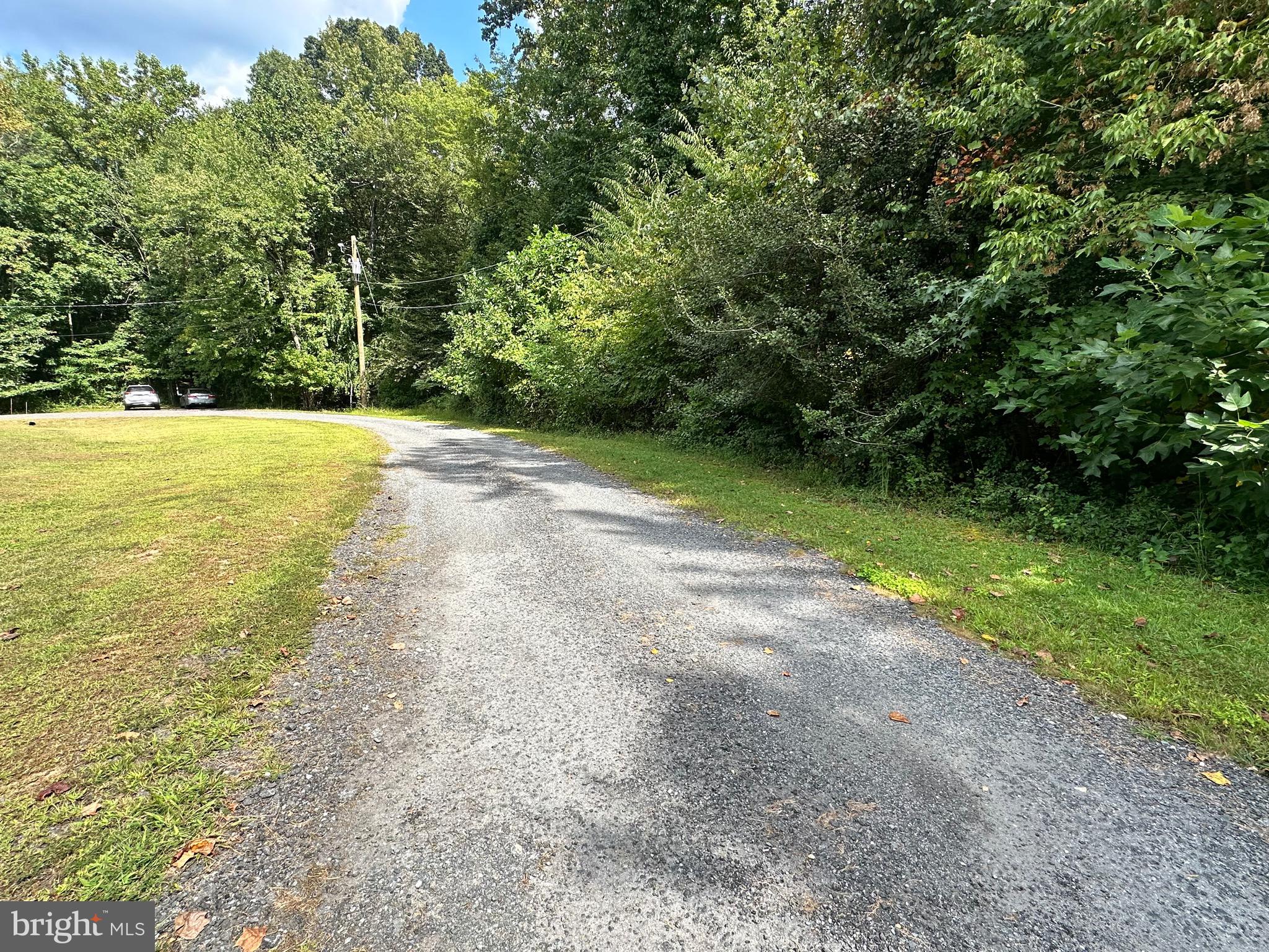 1 Elizabeth Street Elkton, MD 21921 - Photo 2 of 9 a view of a yard with a trees
