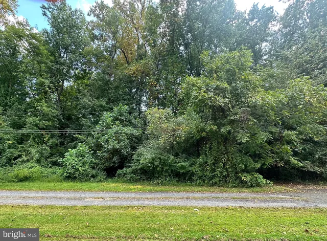 a view of a yard with a small space