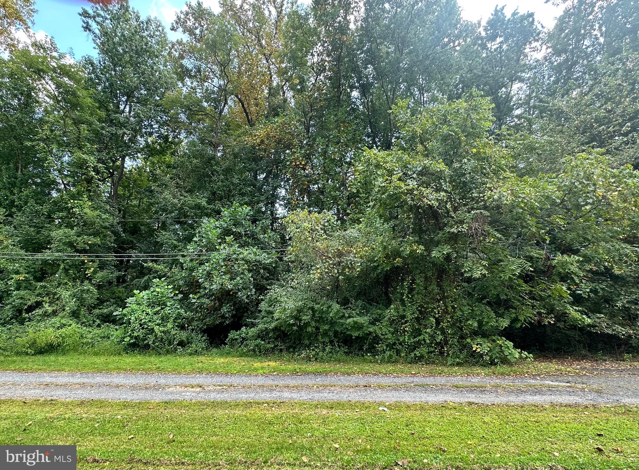1 Elizabeth Street Elkton, MD 21921 - Photo 3 of 9 a view of a yard with a small space