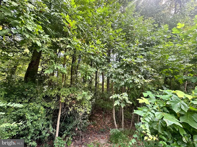 a backyard of a house with lots of trees