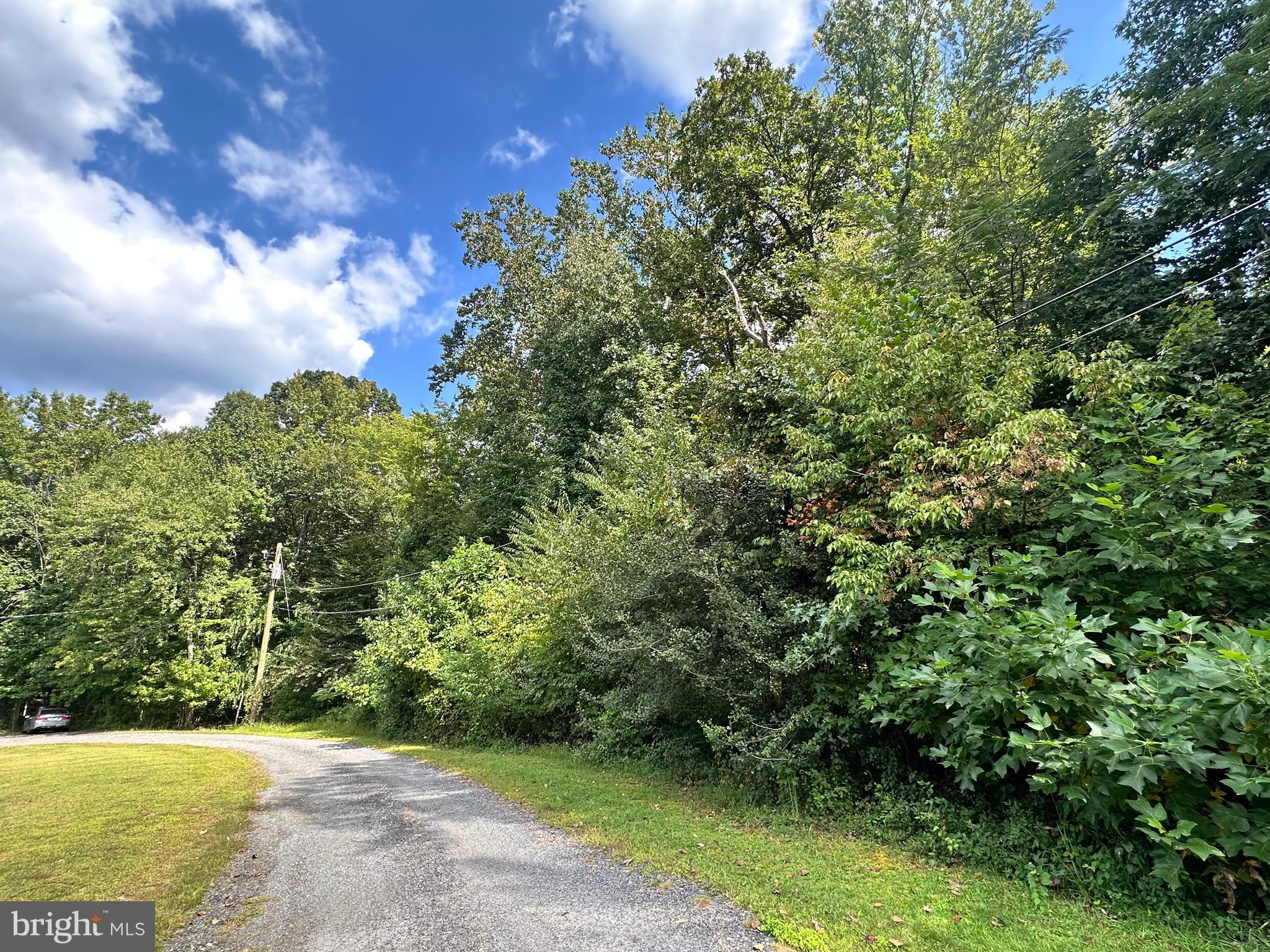 1 Elizabeth Street Elkton, MD 21921 - Photo 6 of 9 a view of an outdoor space and a yard
