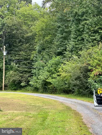 a view of a yard with a bench and trees in the background