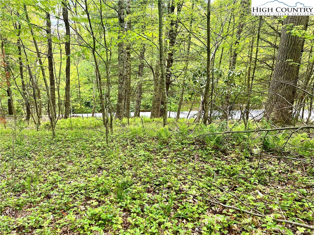 Boulder Creek Drive Boone, NC 28607 - Photo 2 of 10