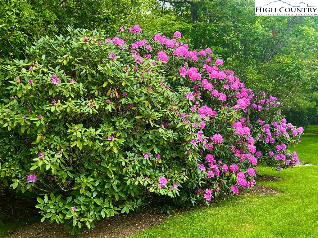 Boulder Creek Drive Boone, NC 28607 - Photo 5 of 10