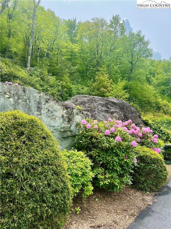 Boulder Creek Drive Boone, NC 28607 - Photo 6 of 10
