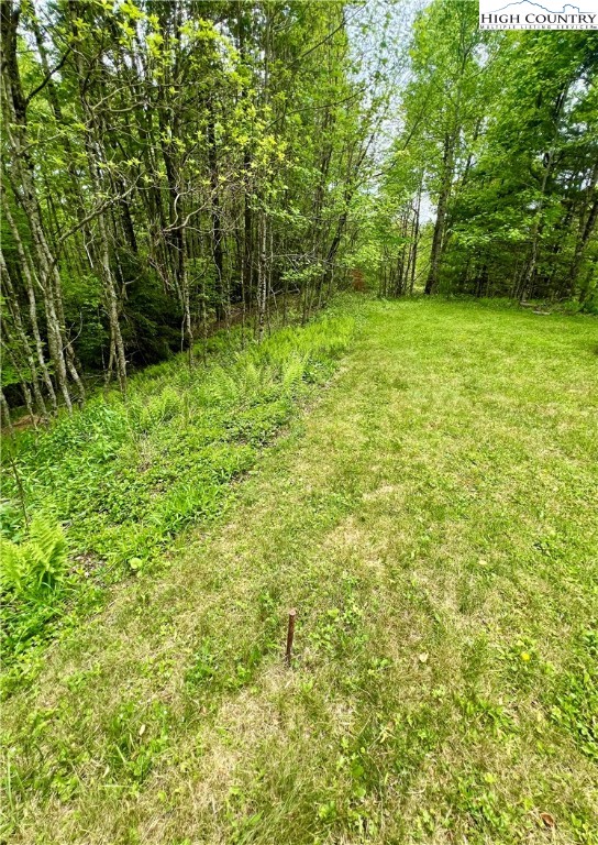 Boulder Creek Drive Boone, NC 28607 - Photo 8 of 10