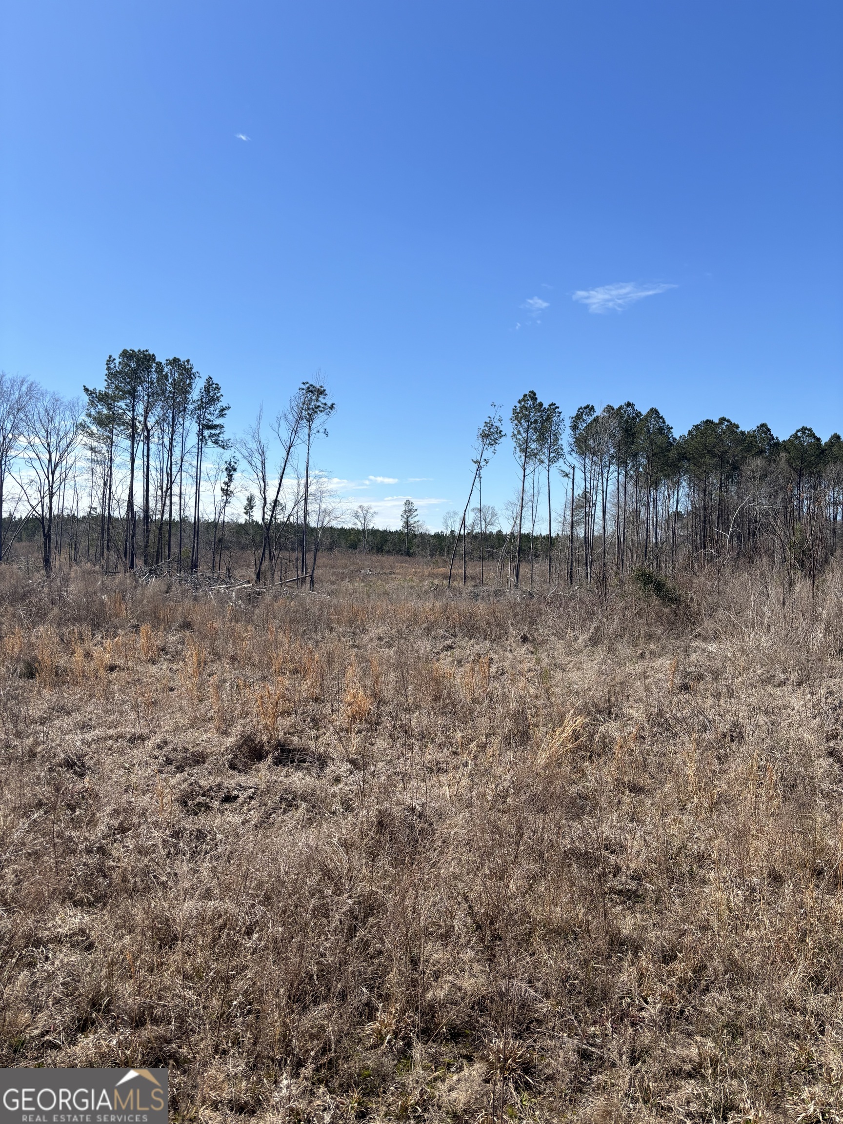 0 Glover Road Davisboro, GA 31018 - Photo 1 of 1 Gallery Image 1