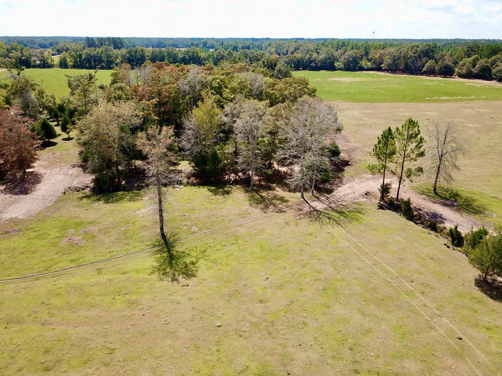 5.8-acres Nobles Road Cottonwood, AL 36320 - Photo 10 of 29