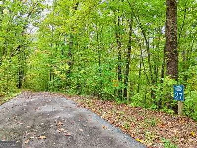 a view of a yard with plants and large trees