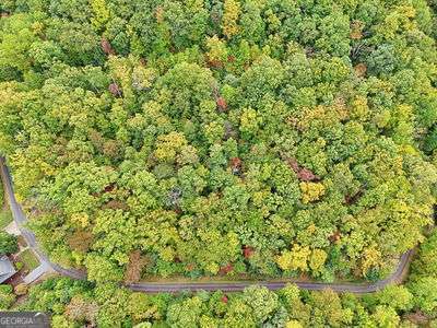 Lot 27 Skyview Drive Hayesville, NC 28904 - Photo 6 of 10 a view of a yard