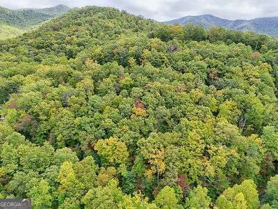 Lot 27 Skyview Drive Hayesville, NC 28904 - Photo 7 of 10 a view of a large yard with lots of bushes