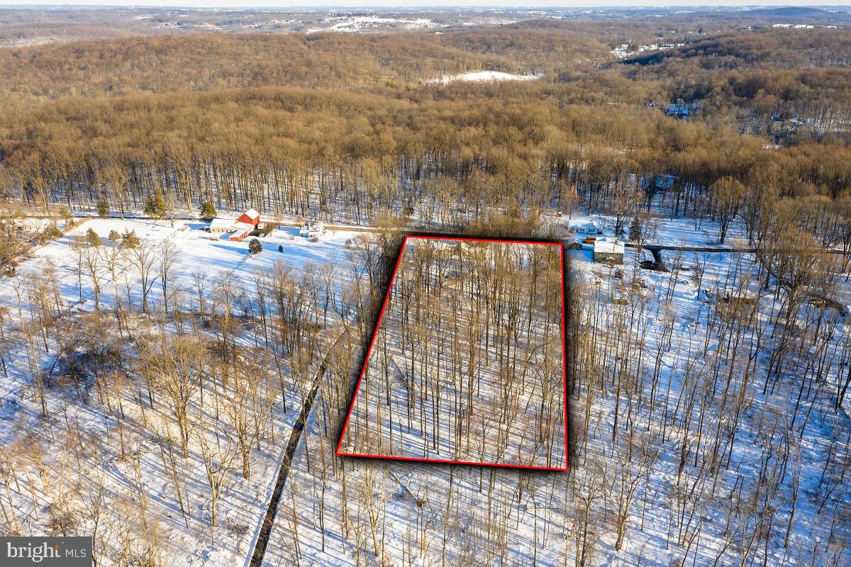 751 Henning Road Perkiomenville, PA 18074 - Photo 38 of 45 Arial lot lines