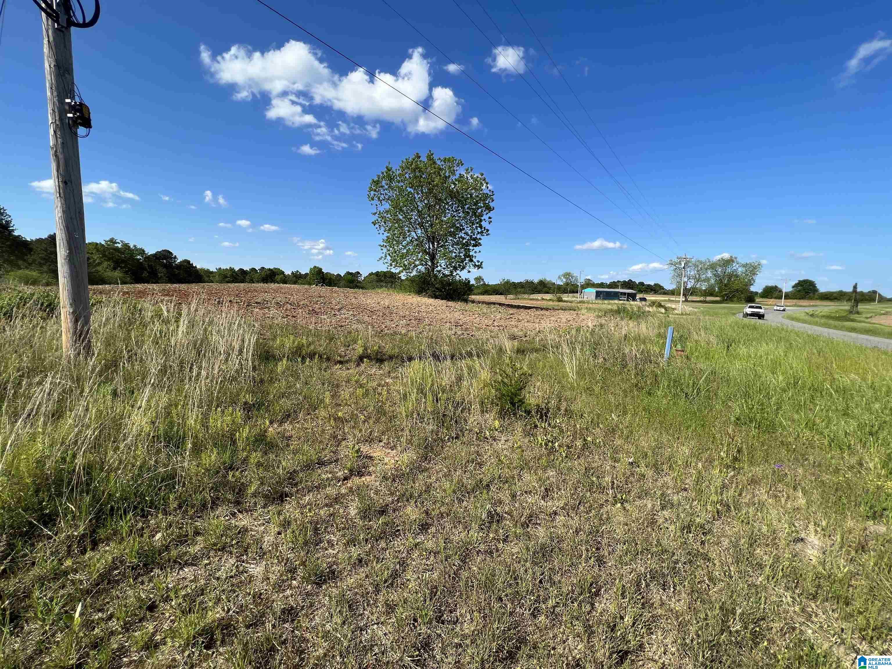 0 County Road 356 Clanton, AL 35045 - Photo 2 of 5