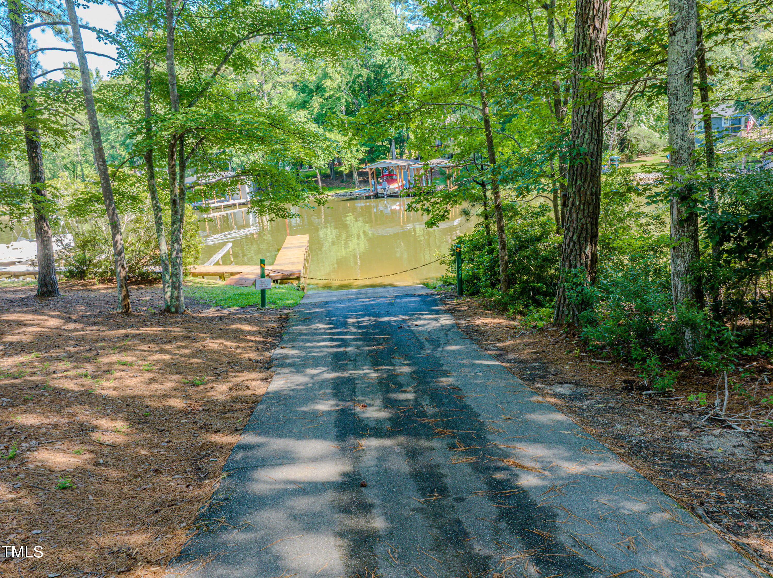 Lot 6 Rabbit Bottom Circle Littleton, NC 27850 - Photo 20 of 39 a view of a yard with plants and large trees