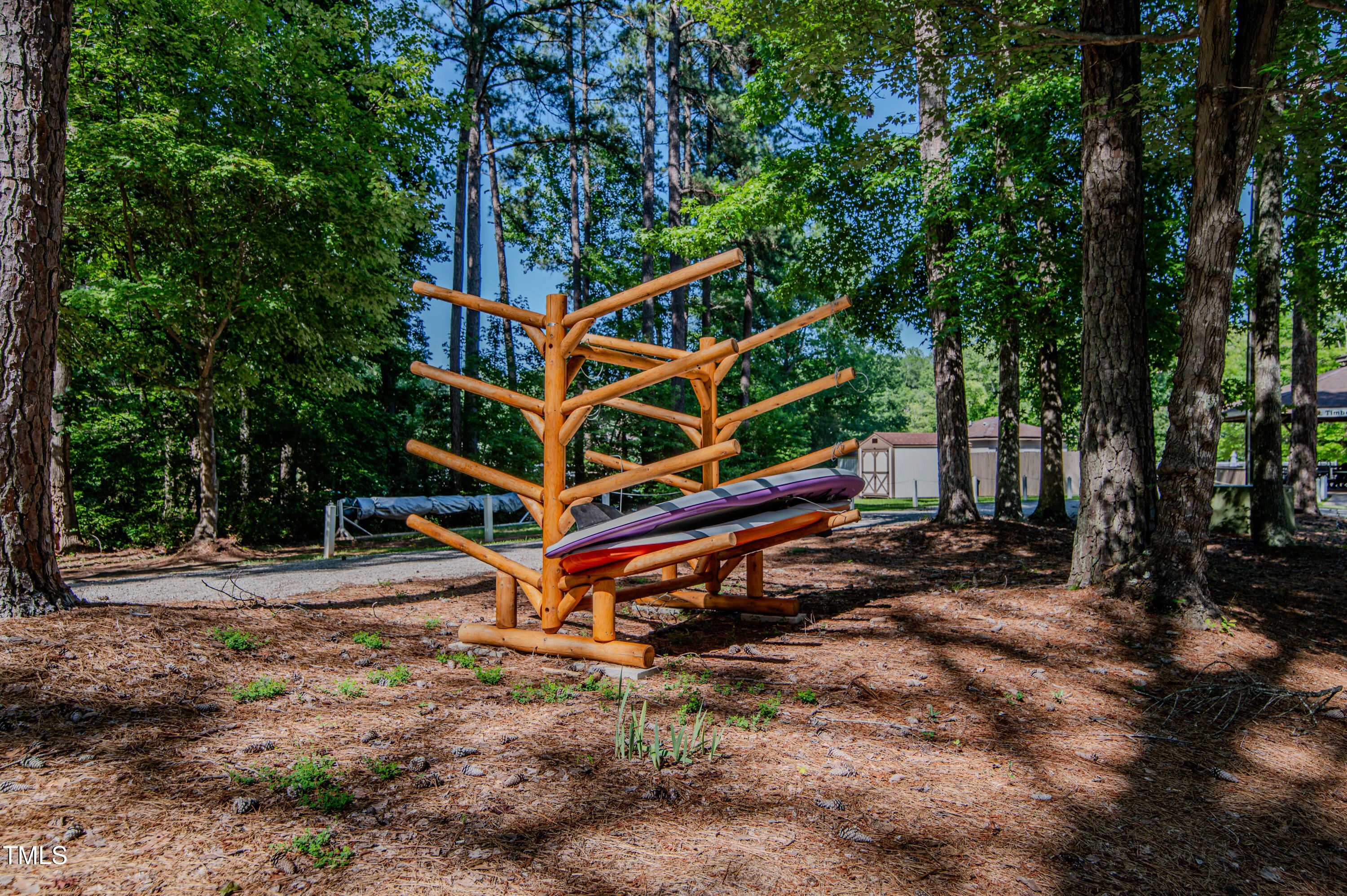 Lot 6 Rabbit Bottom Circle Littleton, NC 27850 - Photo 27 of 39 a small garden covered with tall trees