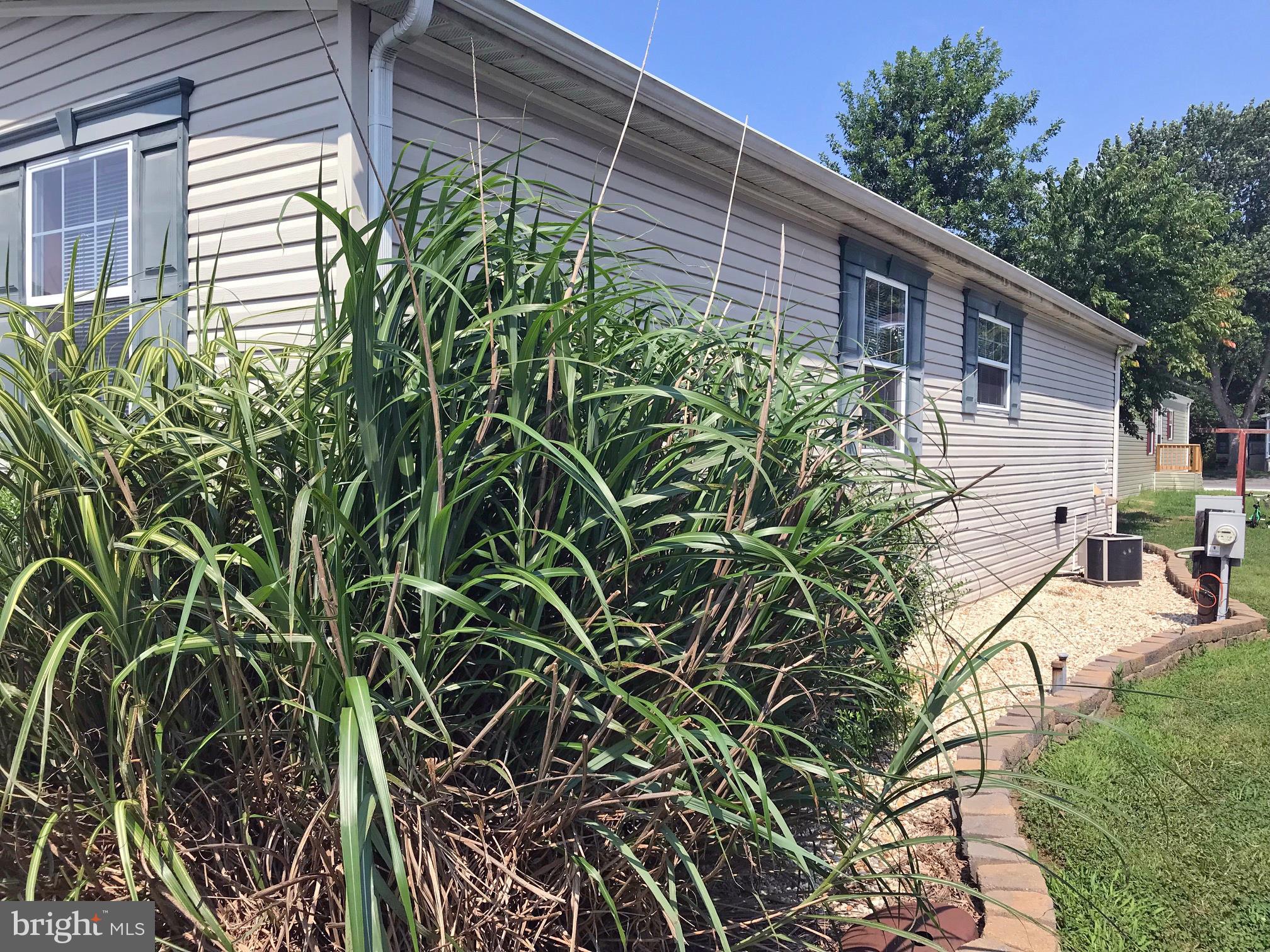 31629 Siham Road, Unit D4 Lewes, DE 19958 - Photo 16 of 19 Side Yard