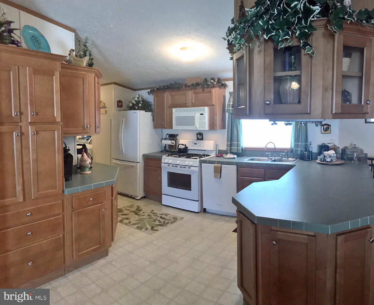 31629 Siham Road, Unit D4 Lewes, DE 19958 - Photo 3 of 19 Kitchen