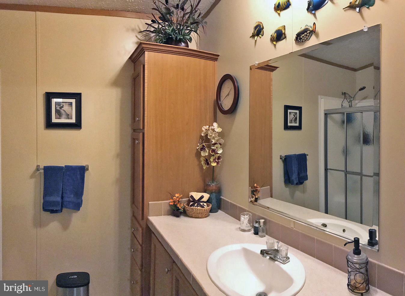 31629 Siham Road, Unit D4 Lewes, DE 19958 - Photo 9 of 19 Master Bath