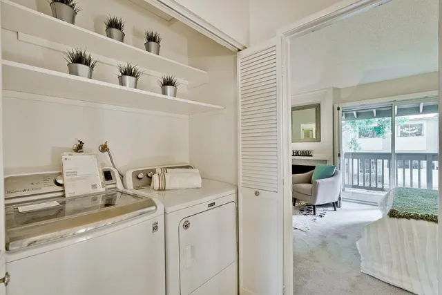 a bathroom with a sink a vanity and a potted plant