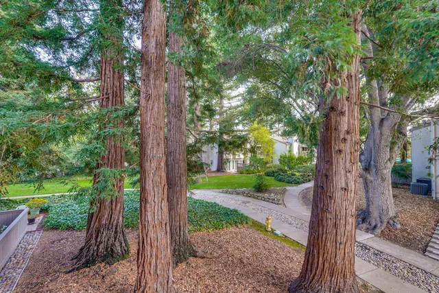 $1,289,000 | 19423 Vineyard Lane, Saratoga, CA 95070