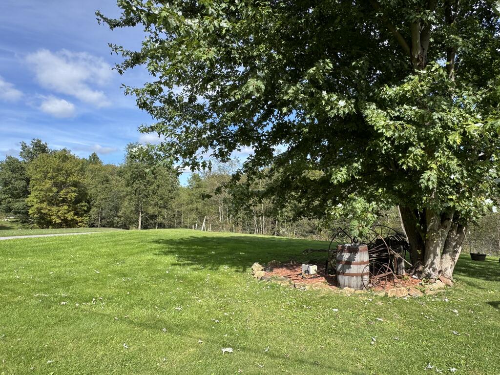 547 Smokey Br Road Danese, WV 25831 - Photo 24 of 31 Gallery Image 24