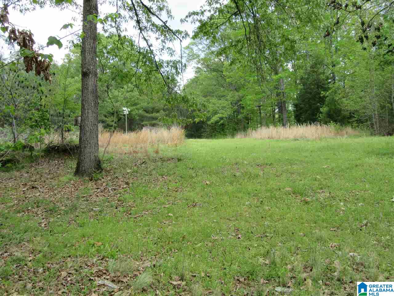 6798 Burchfield Loop Bessemer, AL 35022 - Photo 5 of 15