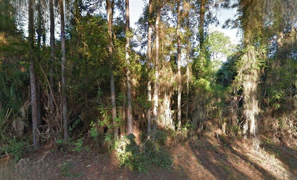 Lutz Rd Port North Port, FL 34286 - Photo 1 of 4
