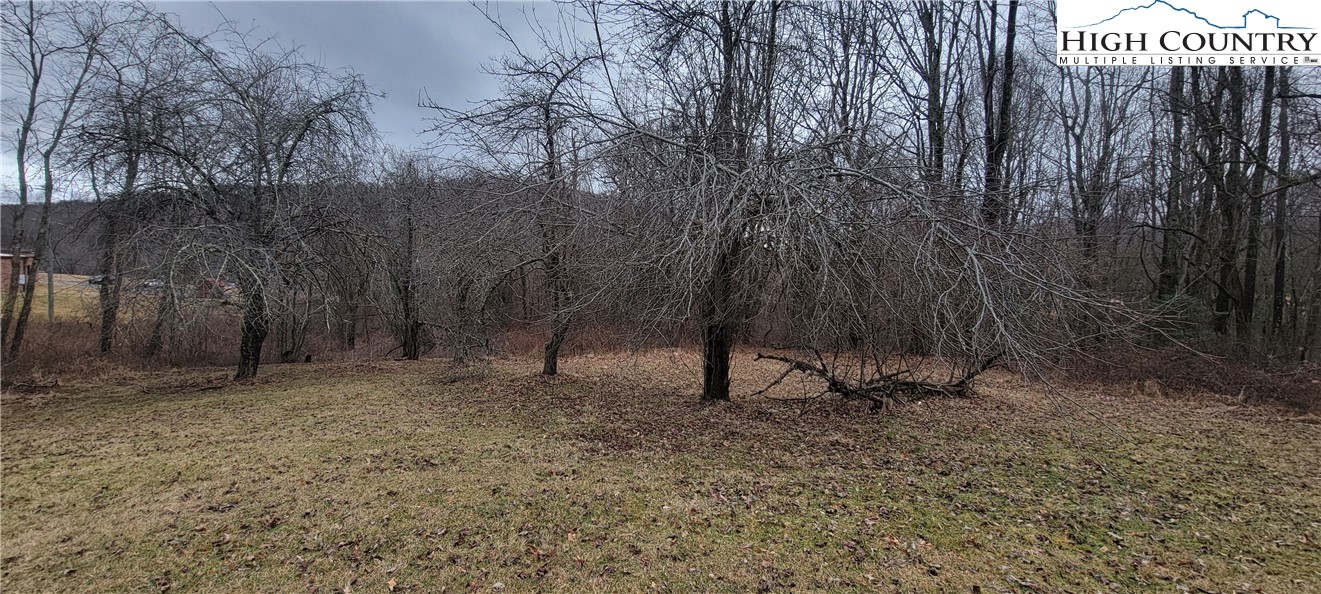 231 Osborne Road Sparta, NC 28675 - Photo 3 of 6 Gallery Image 3