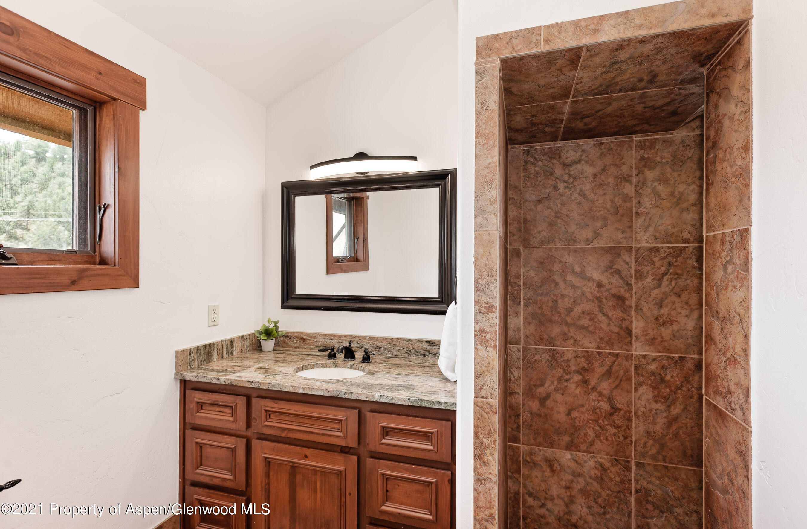 49 Midland Point Road Carbondale, CO 81623 - Photo 17 of 44 49MidlandPointRd_DASH_21080541