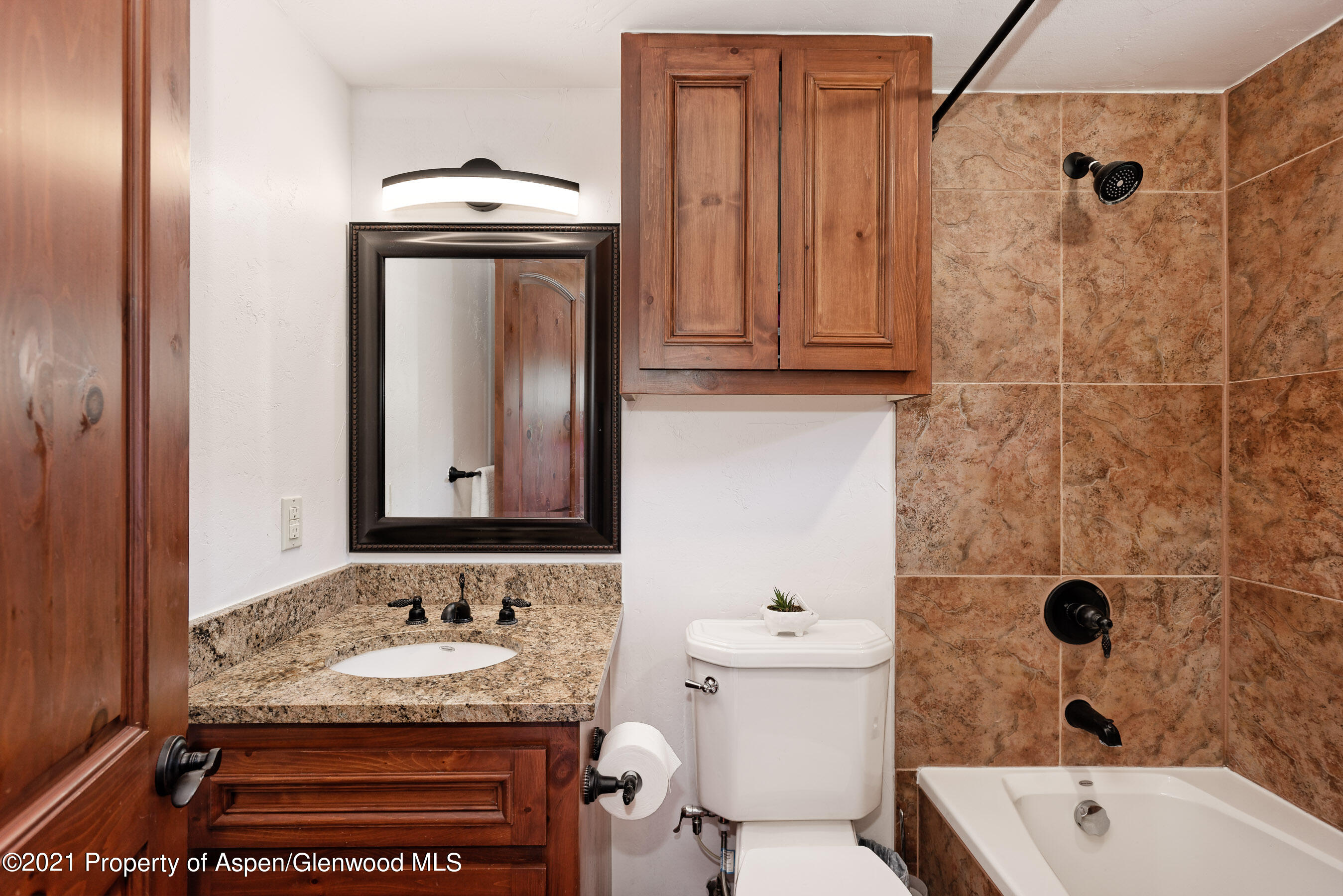 49 Midland Point Road Carbondale, CO 81623 - Photo 22 of 44 49MidlandPointRd_DASH_21080533