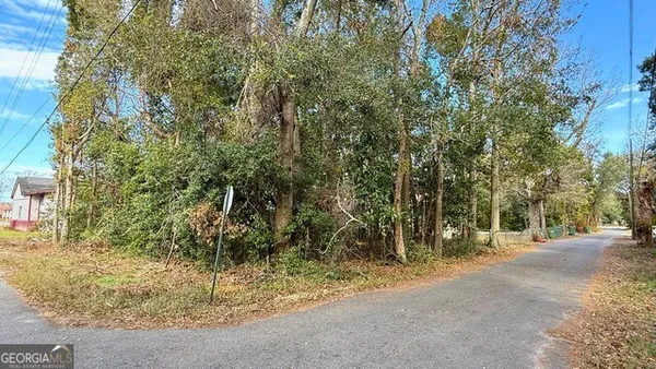 $19,000 | 0 North 3rd Lane, Jesup, GA 31545