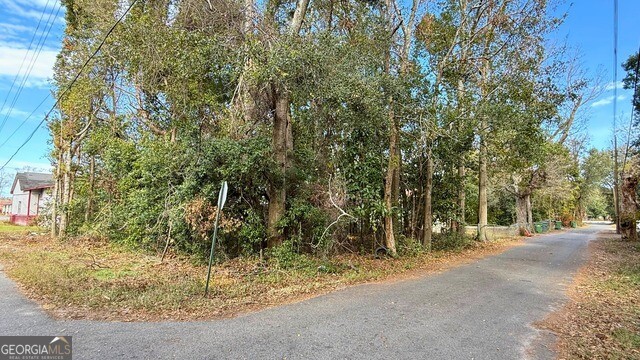 0 North 3rd Lane Jesup, GA 31545 - Photo 1 of 1