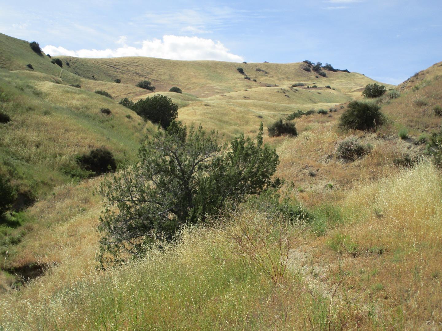 0 New Idria Road Paicines, CA 95043 - Photo 13 of 20 Gallery Image 13