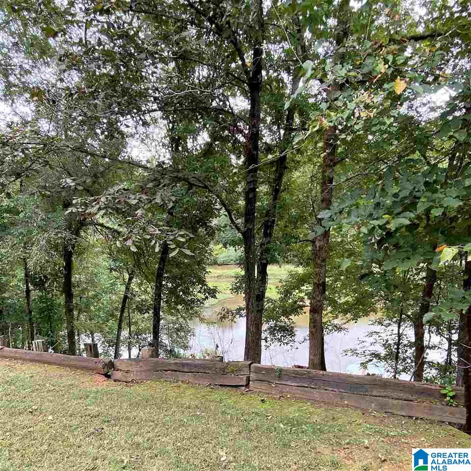 1424 Mountain Lake Road Warrior, AL 35180 - Photo 34 of 36