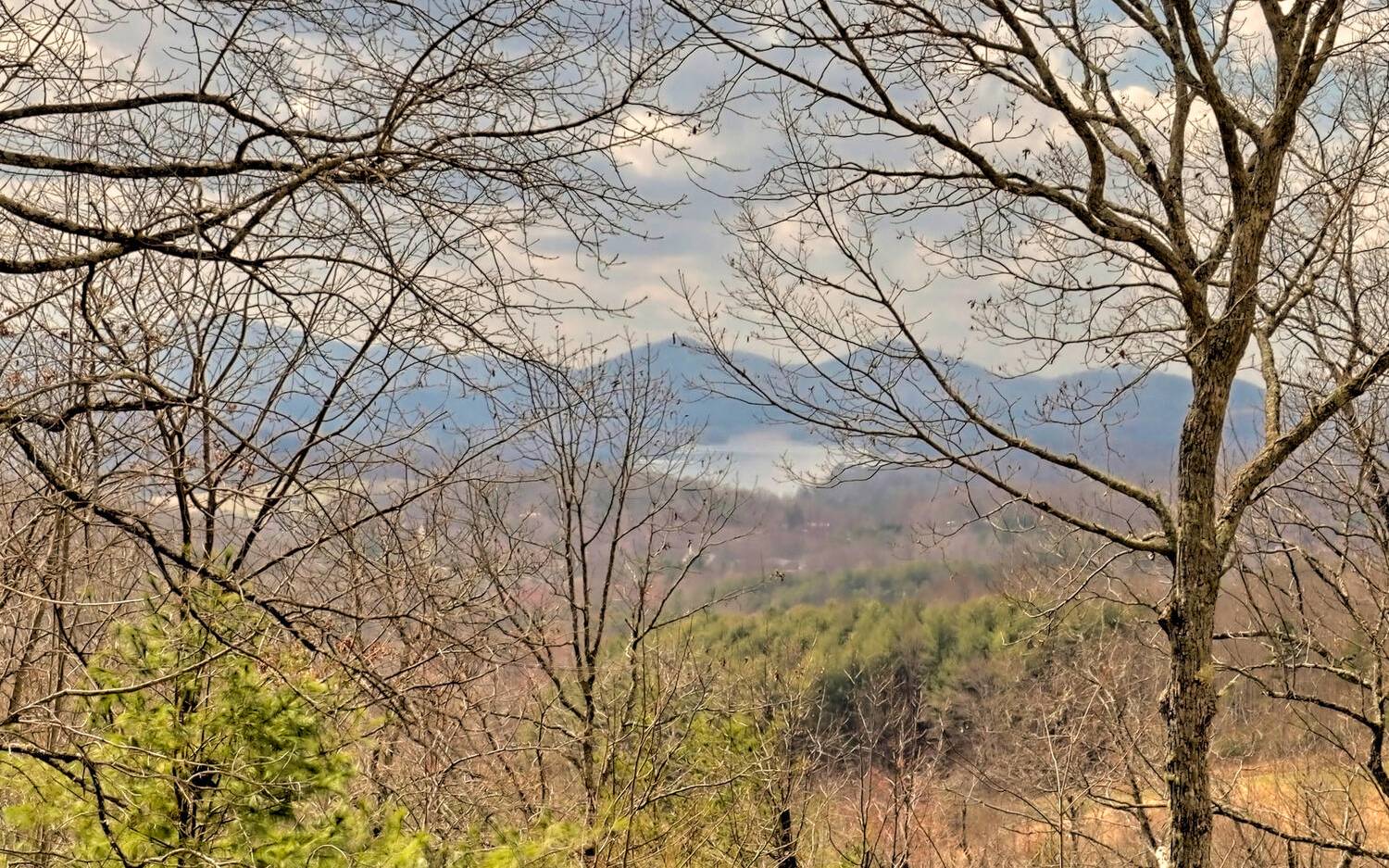 417 Hidden Forest Lane Hayesville, NC 28904 - Photo 2 of 4 a backyard of a house with lots of green space