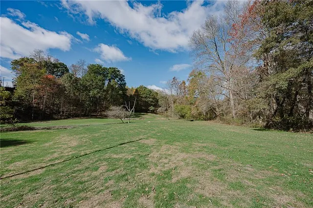 a view of a field with of trees