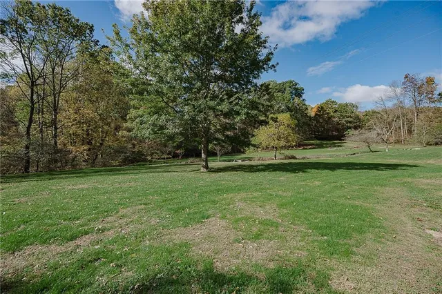 a view of outdoor space with green field and trees