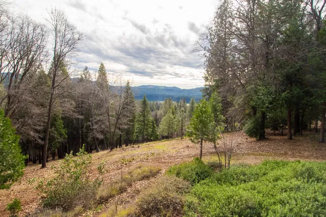 $729,000 | 1231 Garnet Court, Pollock Pines, CA 95726