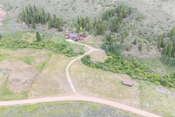 a view of a yard with a pathway