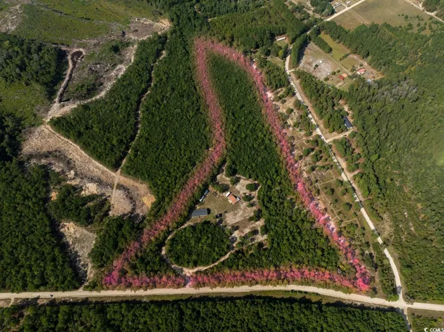 $549,900 | 1087 M W Stroud Road, Nichols, SC 29581