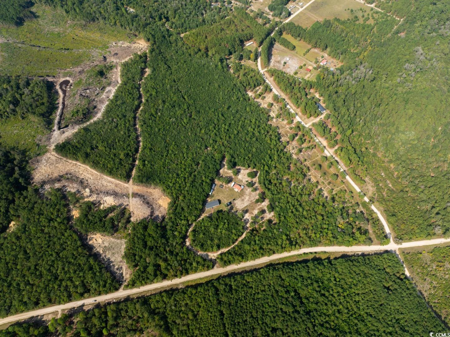 1087 M W Stroud Road Nichols, SC 29581 - Photo 33 of 38