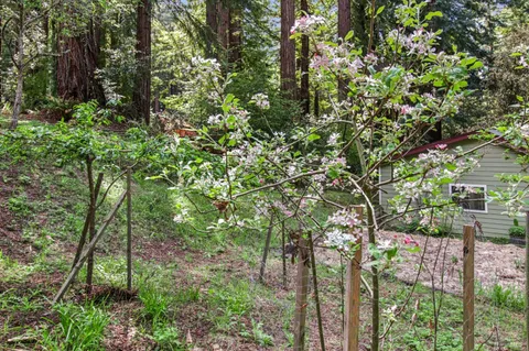 $1,649,000 | 12480 Fiori Lane, Sebastopol, CA 95472