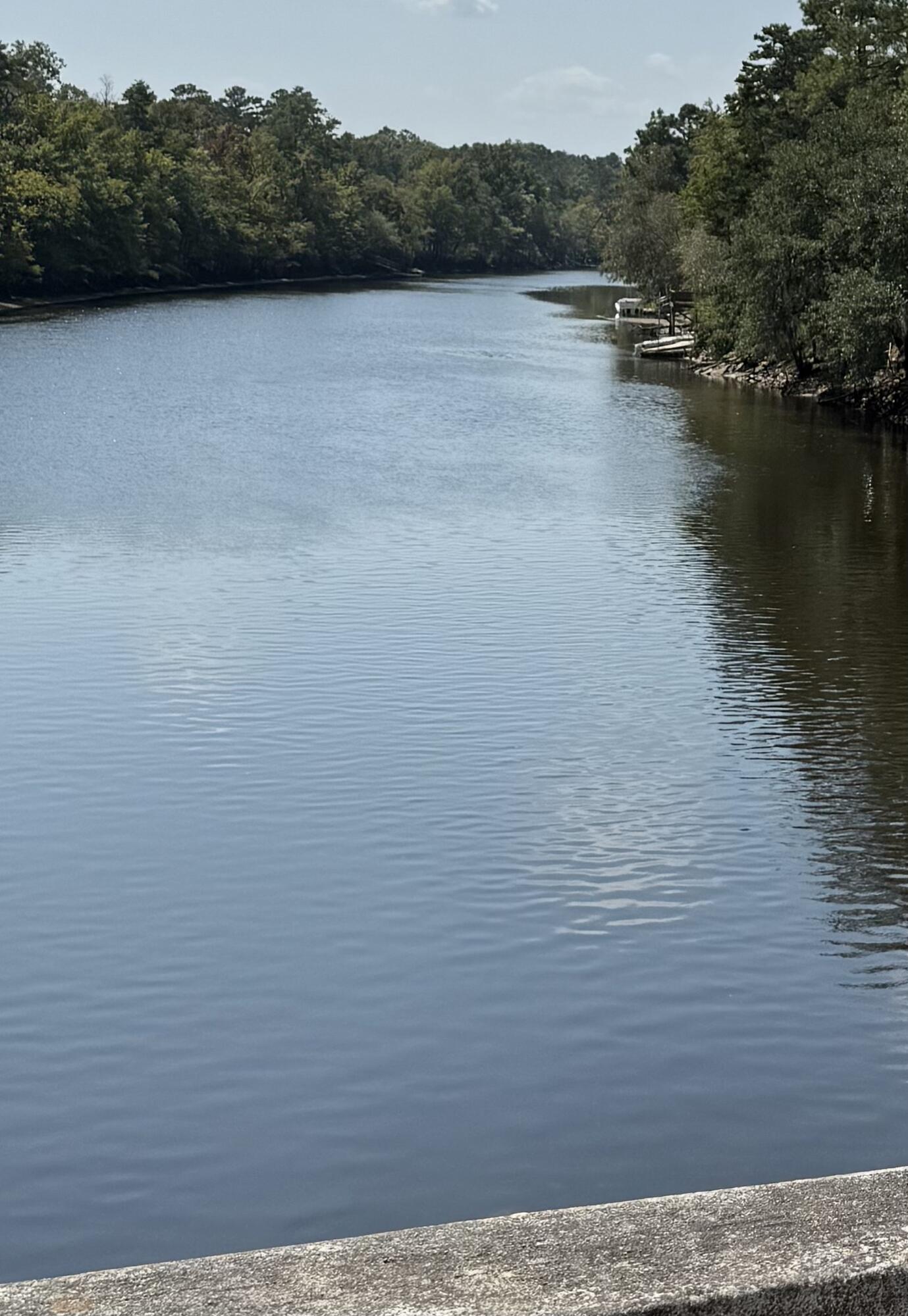 103 Happiness Lane Ridgeville, SC 29472 - Photo 3 of 23 DBBD87EA-A049-48B9-B48A-2BF737ADE4D3