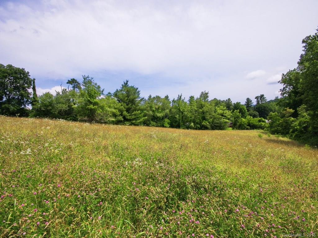 2149 Riceville Road Asheville, NC 28805 - Photo 30 of 36 Gallery Image 30