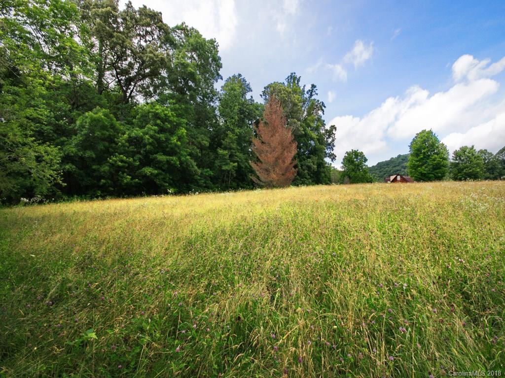 2149 Riceville Road Asheville, NC 28805 - Photo 31 of 36 Gallery Image 31