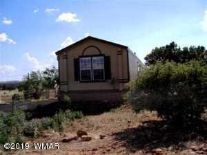 6594 Old Homestead Road Show Low, AZ 85901 - Photo 2 of 18 Gallery Image 2