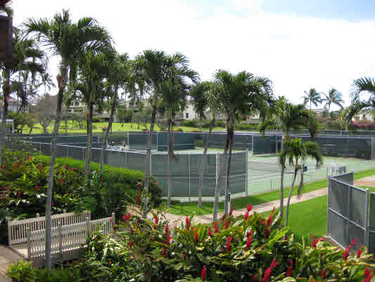 2387 Ho'ohu Road Koloa, HI 96756 - Photo 4 of 10 Gallery Image 4