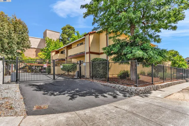 a view of a park with plants