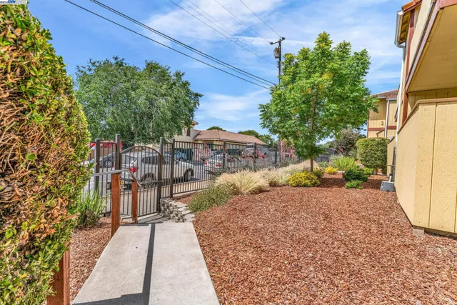 a view of a backyard